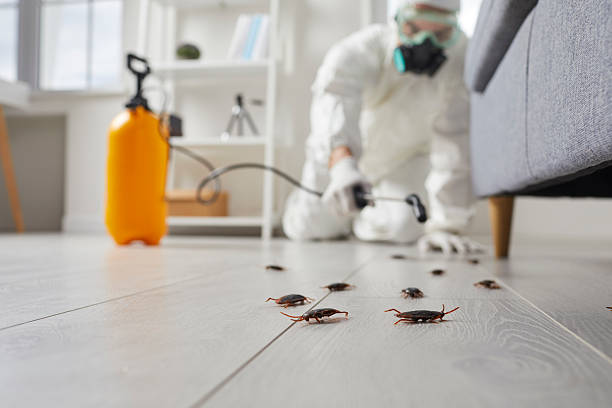 Commercial Kitchen Cockroach Control in Wailua
